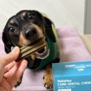 구강농장 이미지