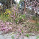 간석3동-44 이미지