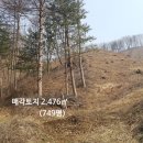홍천토지부동산중개사무소 이미지
