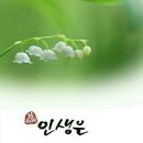 도랑가 이미지