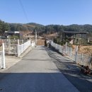 함안군노인복지회관 | 2025.11.19. 사군자 수업 : 북부노인 복지회관