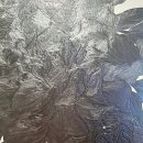 가만히꽃;보다