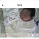 노블엘르산후조리원 | 용인 기흥 노블엘르 산후조리원 2주 후기