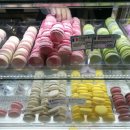 상남동237 이미지