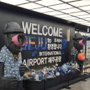 서광카 | 3박 4일 제주도 여행 기록 ✈️ 먹고 쉬고 즐겼던 6월 제주 여행 후기 | 경비 공유