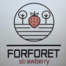 제일농장 | 아이와 함께 하는 포포렛 딸기농장체험 후기