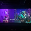 춘천태동요양병원 | [임신기록] 임신 31-33주차 증상, 출산병원 전원, 연세 세브란스 김영한 교수님 초진, 태동검사, 임산부...