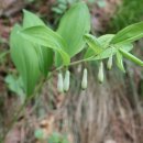 거창-신원-4 이미지