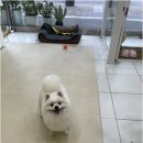 행복사랑미용실
