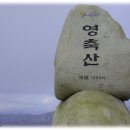 환타지아주유소