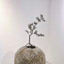 분재전시회 | 작가와 작품이 함께하는 분재 갤러리 VIP 초대 ,아틀리에 애채