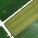 들녘 옷 이미지