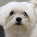 큐티살롱 이미지