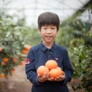 규리 농장 이미지