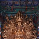 추원모차골 이미지