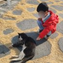 라라북천 | 6세 어린이와 함께하는 진주근교 나들이, 진주에서 하동북천 기차여행(화덕피자맛집 라라북천 추천)