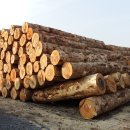 대양시스템 이미지