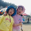 은비랜드 이미지