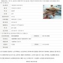 원효동물병원 이미지