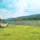 더나인스테이 이미지