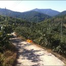 신바람영농조합법인 이미지