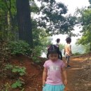 감골공원길 이미지