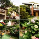 연희제일의원 이미지