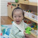 꽃과호수어린이집 이미지