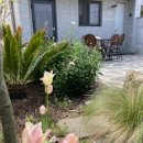 소제목 스테이 이미지