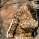 정령의숲 이미지