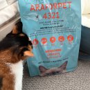 (주)인섹트바이오텍 이미지