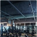 머슬카페피트니스 이미지