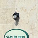 머물다 주도 이미지