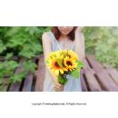 꽃보다 강쥐 이미지