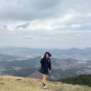 봉신리 - 우 | 충남 홍성 여행 거북이마을 벚꽃 개화 상황 (2026년 실시간) | 홍성맛집 홍흥집, 백월산 전망대 방문 후기