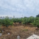 강정동-23 이미지