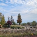 순천만국가정원 이미지