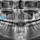 한스치과의원 이미지