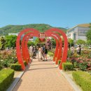 이곡장미공원 이미지