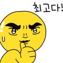 시현애견사랑 이미지