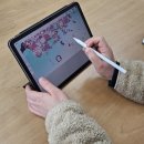 아이패드 디지털 드로잉 이미지