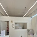 뽀송하댕 | 우리 강아지 미용 맡긴 진짜 후기! 뽀송하댕 다녀온 리얼 리뷰