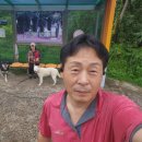 배꼽농원 | 친환경,무농약,유기농 ,명이나물,유기농 산마늘,명이장아찌,산에 산마늘농원, 외식하러 ...