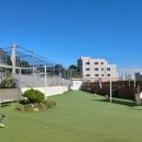 뛰뛰하개 이미지