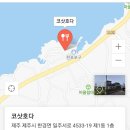 제주코삿호다