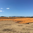 동백목장 이미지