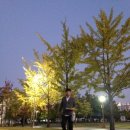 브이아이피 텔레콤 이미지