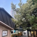 부영가든 | [순천맛집] 순천 오리불고기로 제일 유명한 부영가든 방문 후기