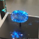 영화농산물 | 런던여행 추천 코스 자연사박물관 방문 후기