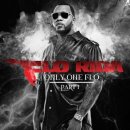 Club Can't Handle Me (feat. David Guetta) - Flo Rida (플로 라이다) 이미지